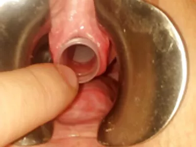 Missy Martinez & Will Powers In មេផ្ទះ ១ លើ ១